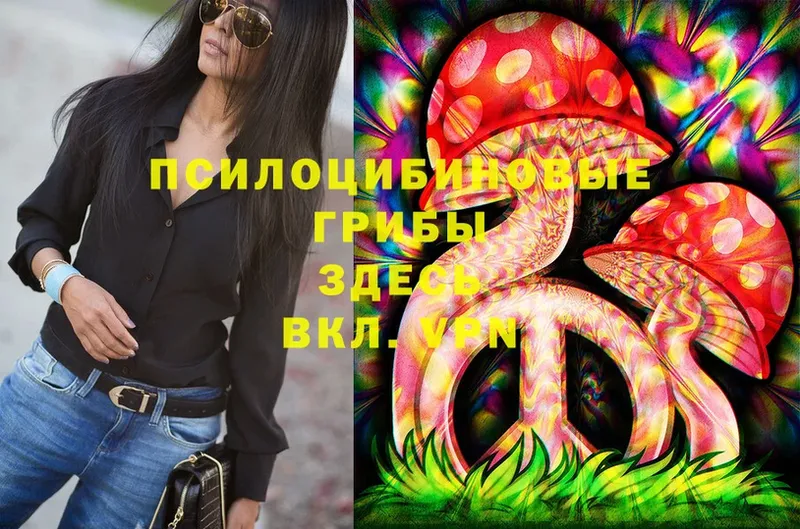 Псилоцибиновые грибы Psilocybine cubensis  как найти закладки  Ряжск 